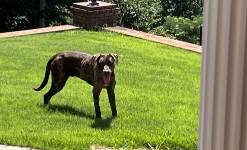 White County Animal Control Cleveland