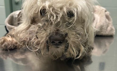 Cleveland-Bolivar County Animal Shelter Cleveland