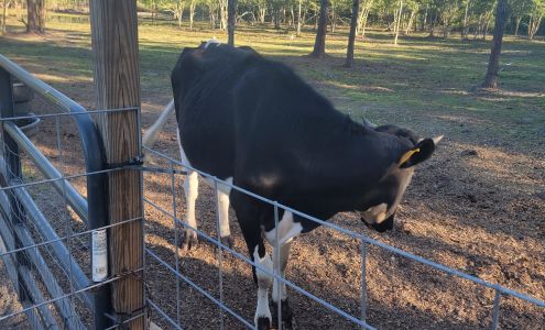 M&B Farm & Hatchery Inc Hortense