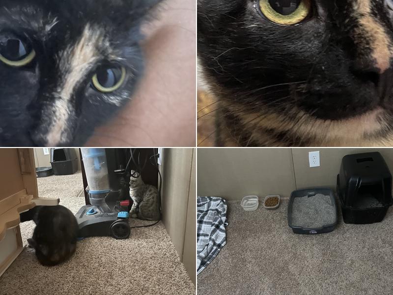 West Baton Rouge Animal Control