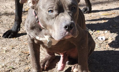 South Georgia Equine Rescue Inc. Waynesville