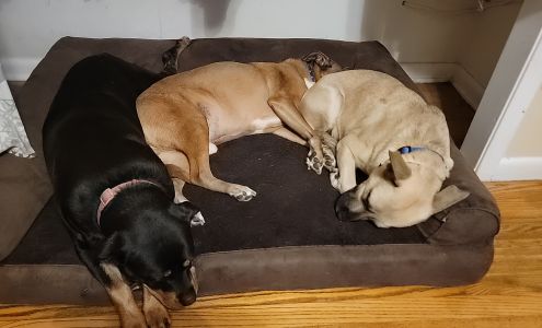 Elizabethton-Carter County Animal Shelter Elizabethton