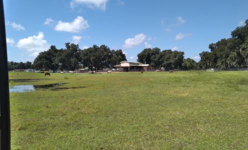 The Wild Horse Rescue Center Webster