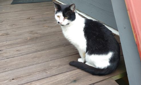 Galax Carroll Grayson Shelter Galax