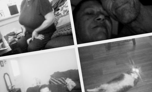 Granite City Animal Control Granite City