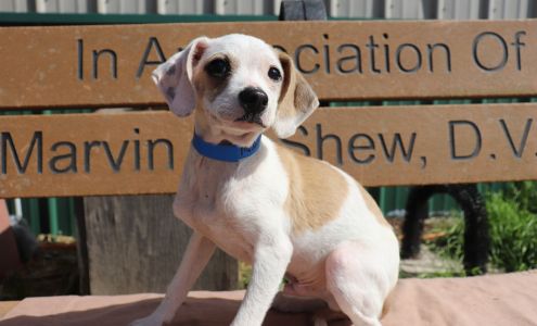 Parke-Vermillion County Humane Society Hillsdale