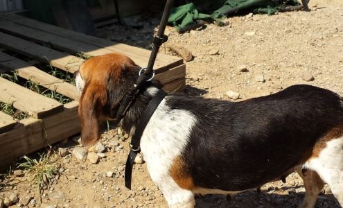 Holdenville Animal Shelter Holdenville