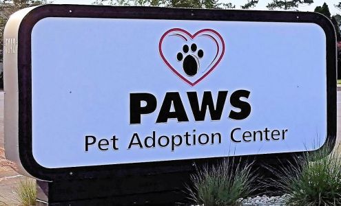 Paws Pet Adoption Center Morehead City