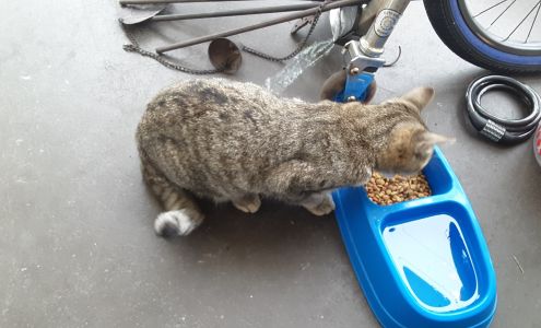 We Bark Estates Moundsville