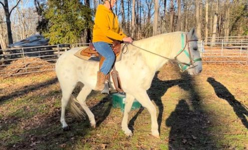 Virginia Equine Welfare Society Studley