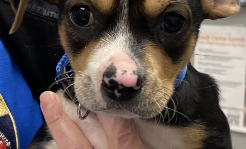 Mustang Animal Shelter Mustang Dog Park, 530 SW 59th St, Mustang Oklahoma 73064