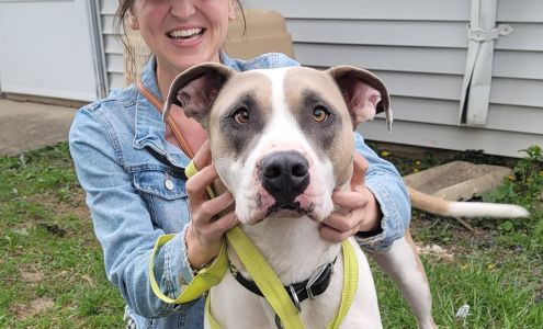 Biggie Paws Rescue Inc Salem