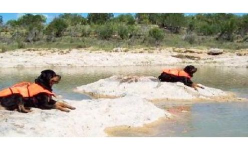 NaNook & NaKoda's Big Paw Rescue Blanket