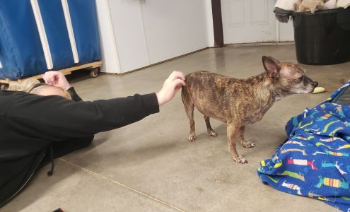 Hearts United For Animals Auburn