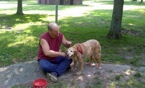 ​Clearfield County SPCA Clearfield