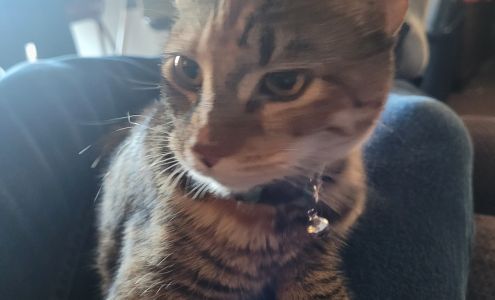 Buffalo County Humane Association Mondovi