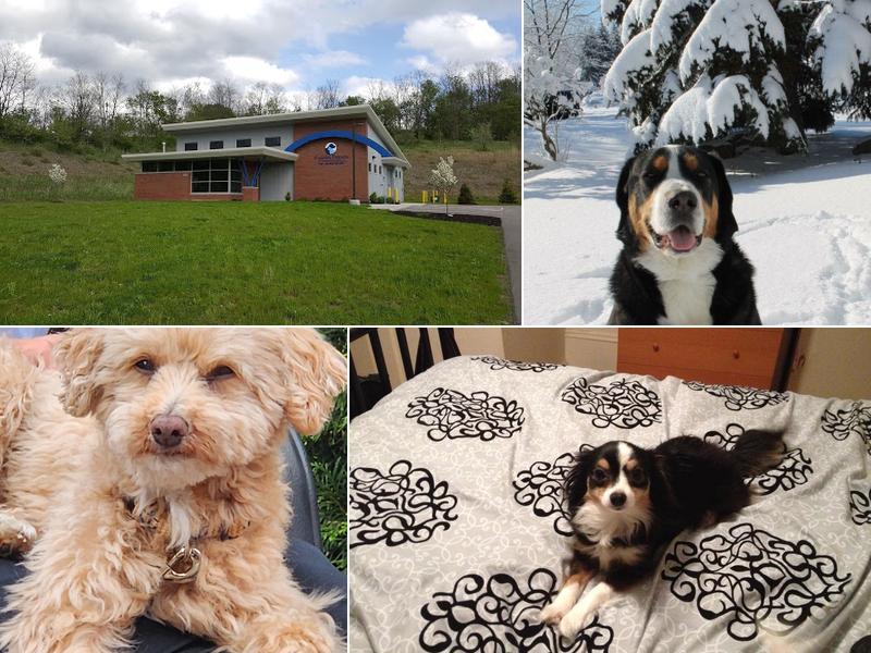 Forever Friends Pet Crematorium