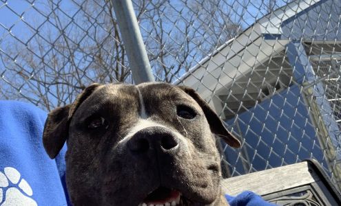 The North Jersey Community Animal Shelter Bloomingdale