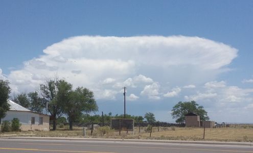 Torrance County Animal Shelter McIntosh