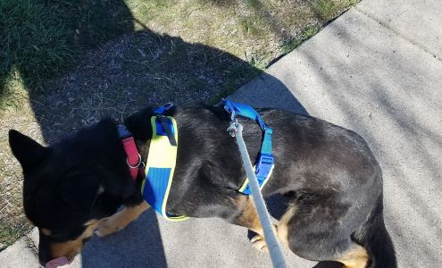 Journey Home Animal Care Center Rifle