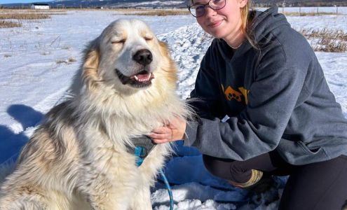 PAWS - Providing Animal Welfare Services Driggs