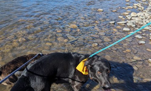 Lemhi County Humane Society Salmon