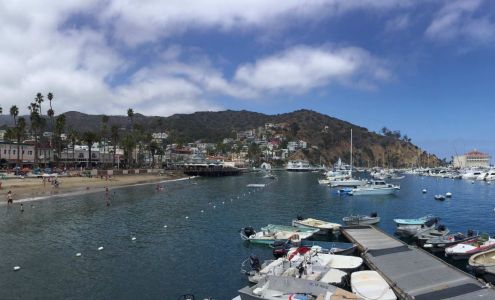 Catalina Island Humane Society Avalon