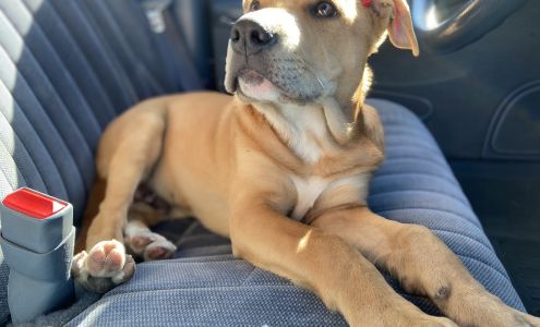 The Pit Bull Pen Rescue Benton City