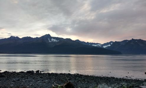 Seward Animal Shelter Seward