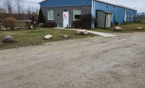 Alliston & District Humane Society Everett