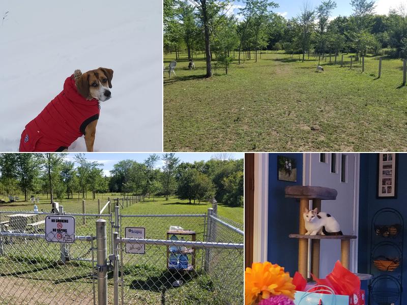 Scugog Animal Control Centre