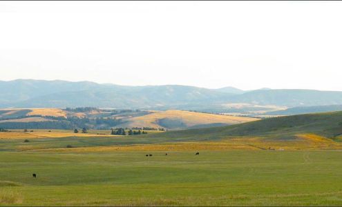 First Bank of Montana Conrad