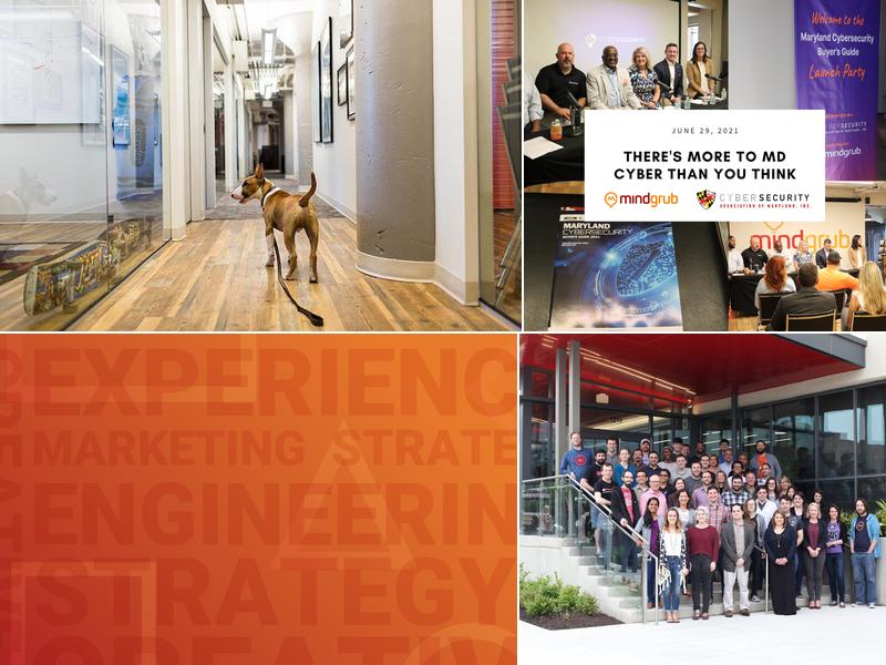 Mindgrub Technologies