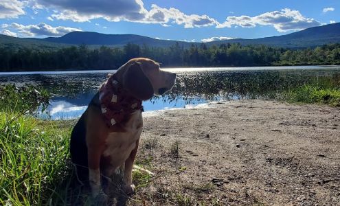 Rue Bakers Pet Supply LLC