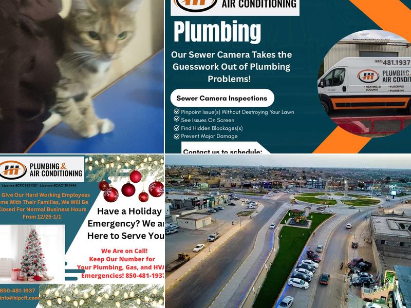 The Home Improvement Store