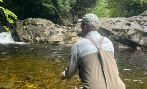Maggie Valley Fly Shop Maggie Valley