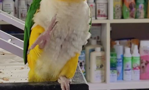 Animalerie Cartierville Pet Store