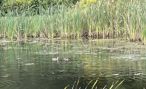 Hutchinson Farm Supply Inc Whitchurch-Stouffville