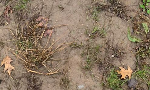 James Watkins Auto Salvage Inc Belleville