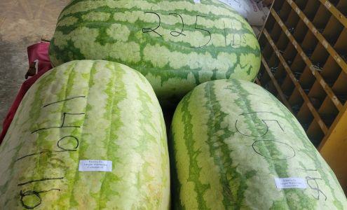 Stidham's Feed Store Russellville