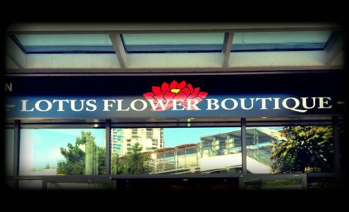 Lotus Flower Boutique (GILMORE)