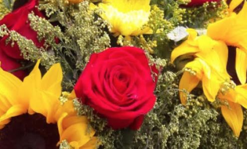 Lady Bug's Flowers & Gifts