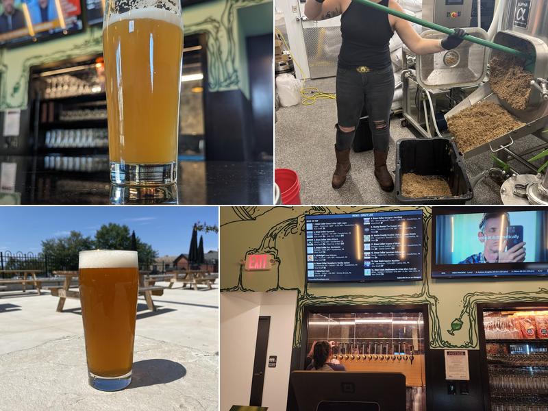 Brass Collar Brewing Company