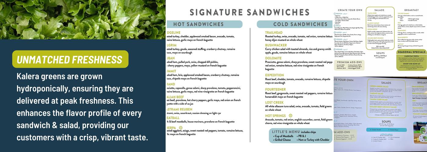Yampa Sandwich Company Menu