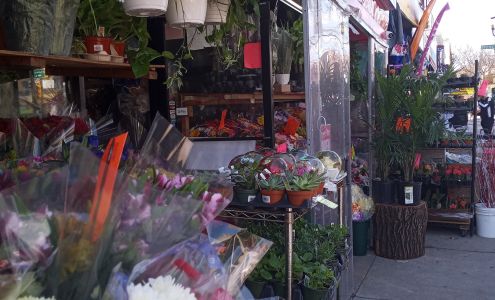 splash flower shop