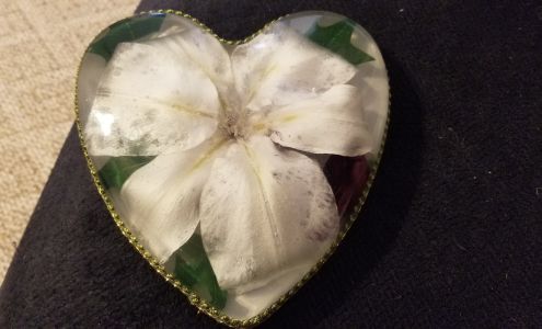 Flowers Forever Shop