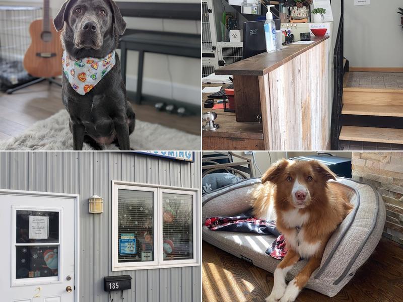 Barks & Baths Dog Grooming