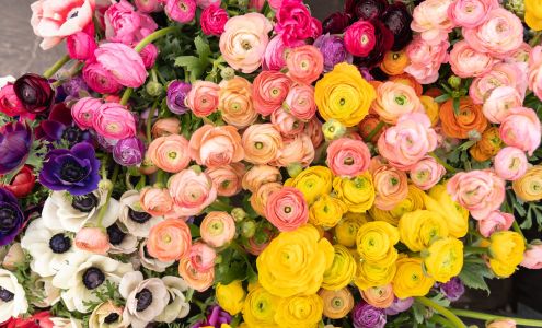 Mimi's Flowers 184 Bryant St, Cedar Bluff Virginia 24609