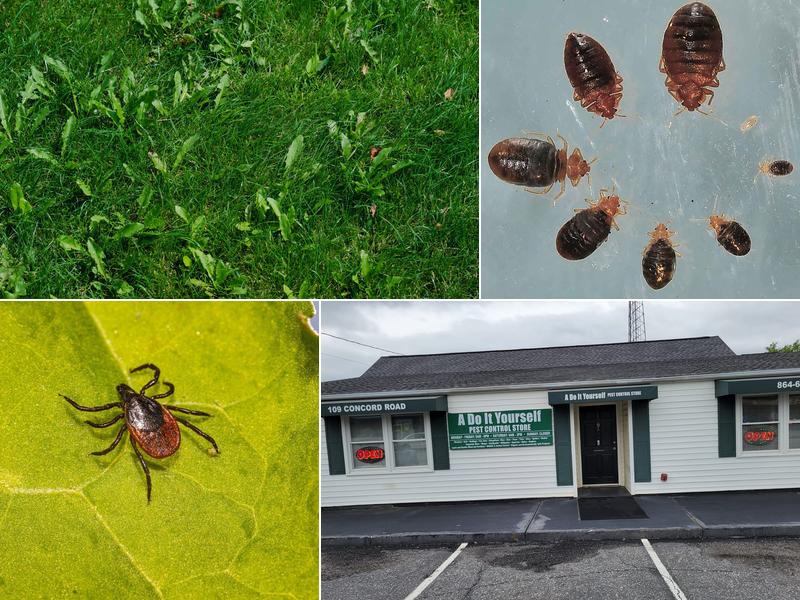 A Do It Yourself Pest Control Store