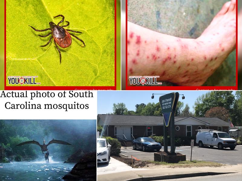 A Do It Yourself Pest Control Store